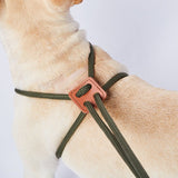 Leash Chest - back Dog Leash Pet Products - My Store